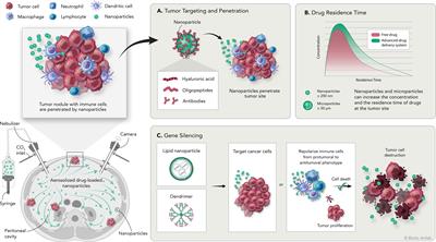 Localized chemotherapy approaches and advanced drug delivery strategies: a step forward in the treatment of peritoneal carcinomatosis from ovarian cancer